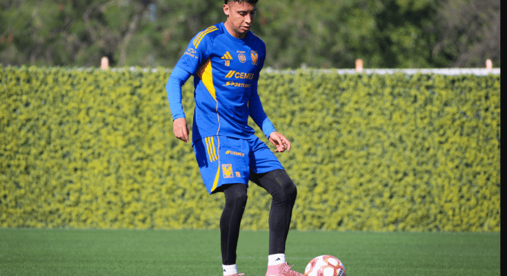 Los Tigres intentarán reencontrarse con la victoria ante Querétaro en una nueva jornada del torneo.