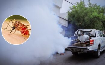 Las autoridades de salud en Nuevo León advierten sobre el dengue y sugieren acciones para prevenir su propagación.