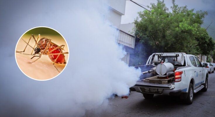 Las autoridades de salud en Nuevo León advierten sobre el dengue y sugieren acciones para prevenir su propagación.