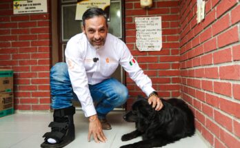 El gobierno de Nuevo León impulsa formación en veterinarias para prevenir infecciones en mascotas por el gusano barrenador.
