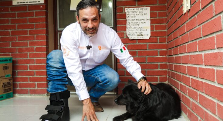 El gobierno de Nuevo León impulsa formación en veterinarias para prevenir infecciones en mascotas por el gusano barrenador.