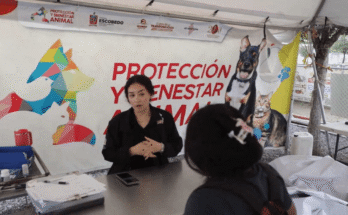 Adopta a una chiva o perros rescatados en mal estado. La cita es en Escobedo, ¡no te lo pierdas!