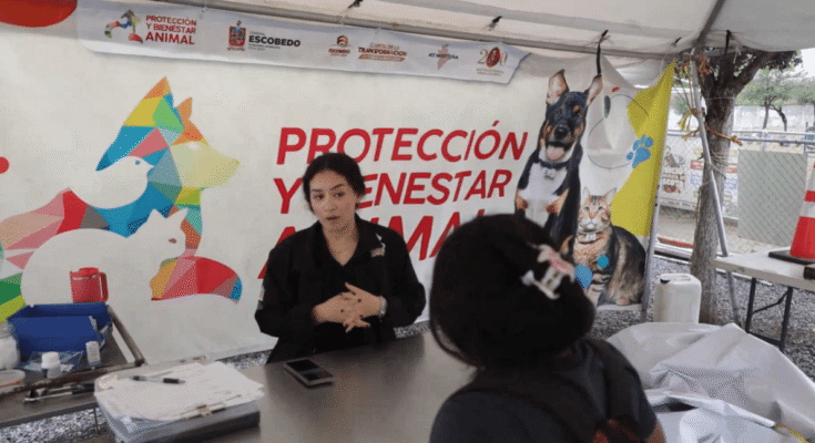 Adopta a una chiva o perros rescatados en mal estado. La cita es en Escobedo, ¡no te lo pierdas!