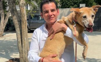 Las iniciativas de Miguel Flores para el bienestar animal en Nuevo León están transformando el estado y creando conciencia social.