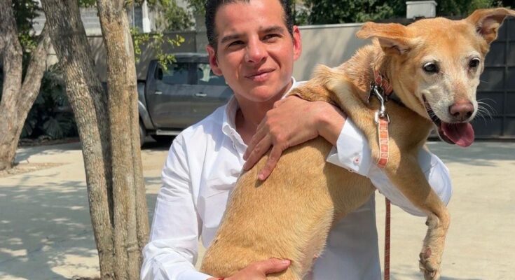 Las iniciativas de Miguel Flores para el bienestar animal en Nuevo León están transformando el estado y creando conciencia social.