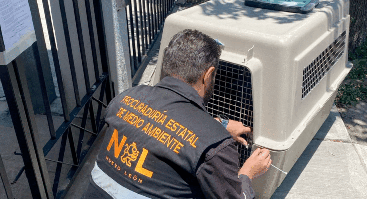 Inspectores de División Ambiental actúan ante alarmantes reportes de maltrato animal en tres municipios, buscando proteger a los animales afectados.