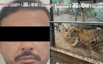 La captura de un presunto líder criminal en NL marca un nuevo hito en la lucha contra el crimen organizado.