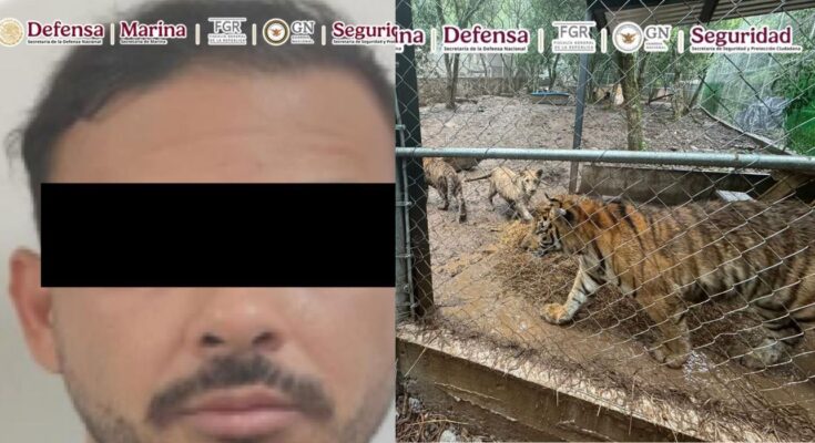 La captura de un presunto líder criminal en NL marca un nuevo hito en la lucha contra el crimen organizado.