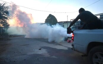 El municipio de Santa Catarina implementa fumigaciones y entrega de abate para prevenir el dengue en su comunidad.