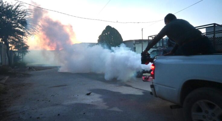 El municipio de Santa Catarina implementa fumigaciones y entrega de abate para prevenir el dengue en su comunidad.