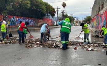 Las cuadrillas municipales trabajan arduamente en Monterrey para limpiar los escombros tras las intensas lluvias recientes.