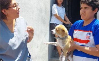 Descubre cómo la atención veterinaria gratuita está beneficiando a la comunidad animal en Santa Catarina.