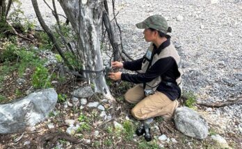 Se intensifican medidas contra el gusano barrenador con el uso de cámaras trampa en Doctor González para proteger fauna silvestre.