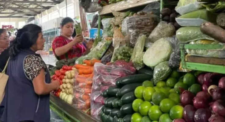 La baja de hasta 35% en la canasta básica atrae a muchos compradores en Monterrey. Descubre más sobre esta tendencia.