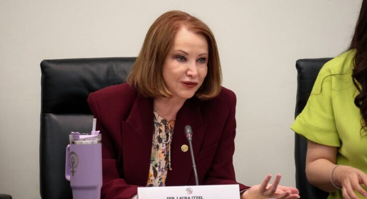 Laura Itzel Castillo asumirá la Secretaría de las Mujeres tras finalizar su encargo legislativo el 31 de agosto.