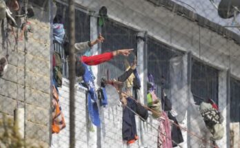 Organización denuncia horrorosas violaciones a los derechos humanos y clama por el fin de las detenciones ilegales en Sudán.