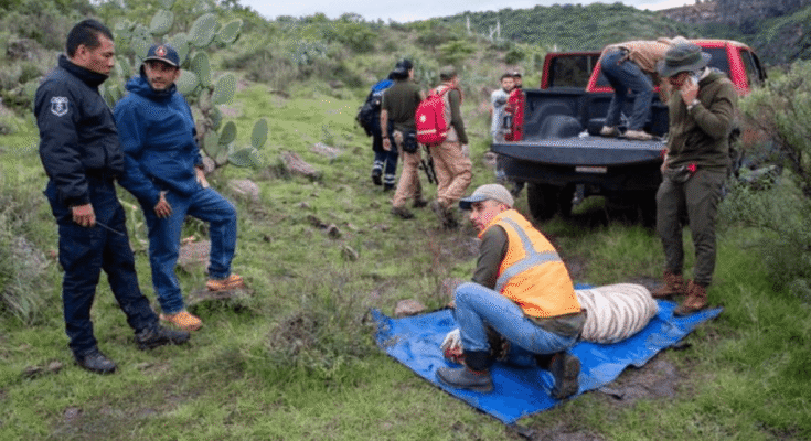 La desaparición de un tigre en Tepetlaoxtoc genera preocupación y confirma riesgos de vida salvaje en áreas urbanas.
