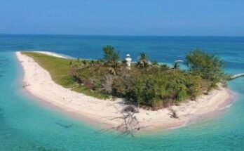 Explora la belleza de una isla veracruzana con playas de arena blanca similar al Caribe y cómo llegar desde CDMX.