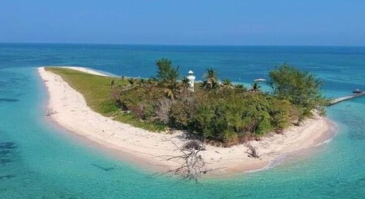 Explora la belleza de una isla veracruzana con playas de arena blanca similar al Caribe y cómo llegar desde CDMX.